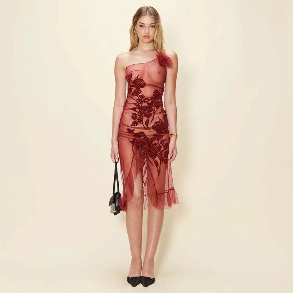 House of Sunny Red Sheer Dress (New w/ Tags) Size 4